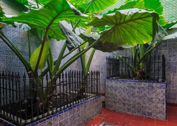 Maravillosa Casa Coco Casa de férias